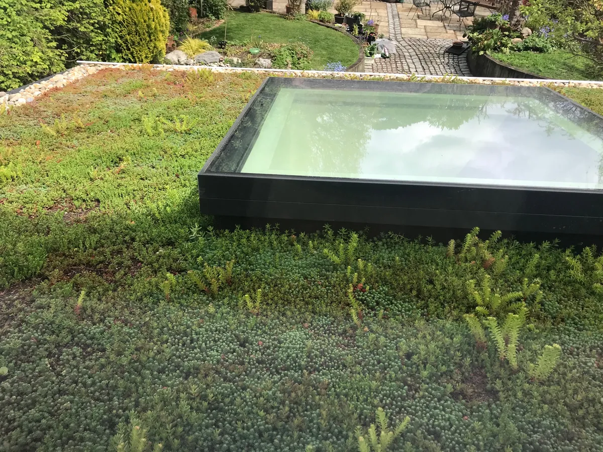 Barnet/green roof - Extension & Refurbishment construction project by Aldwick Building Company